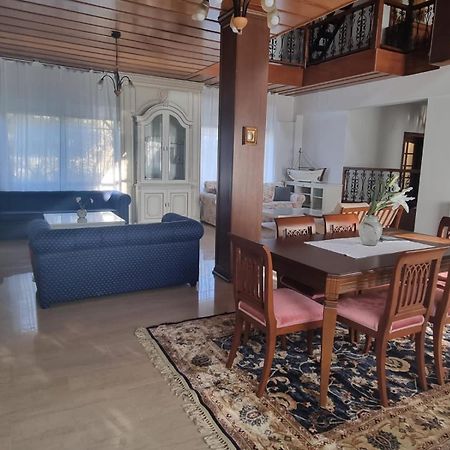 Villa In Trilofos-Close To The Beach Salonicco Esterno foto